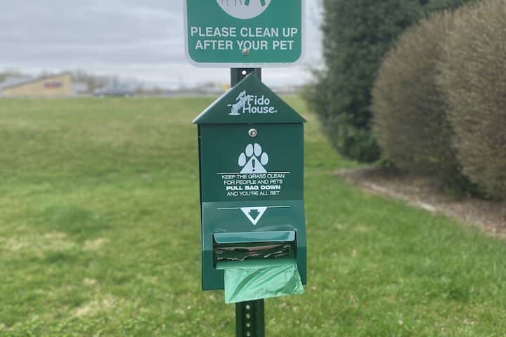 Pet Friendly 39 of 49